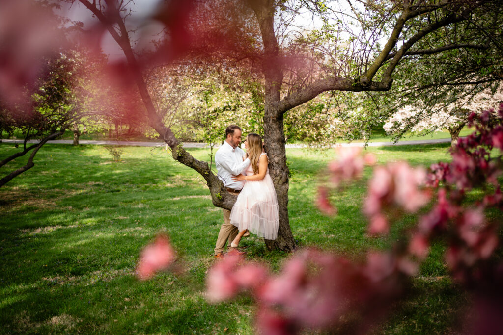 Engagement photos cherry blossom trees crab apple trees blooming Water Works Park Des Moines Iowa